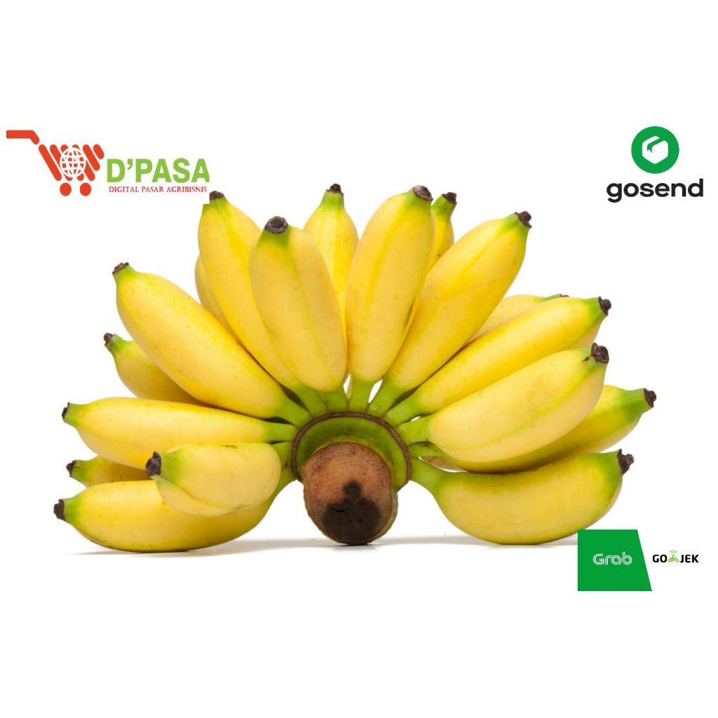 

KIRIM INSTAN Buah Pisang Mas Segar Per Sisir Buah Manisan Fresh