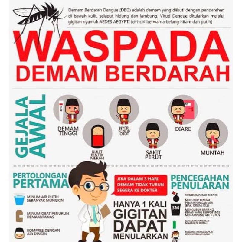 Fogging Asap Nyamuk Dbd