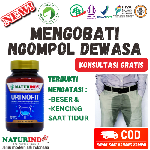 Obat Ngompol Dewasa Remaja Anyang Anyangen Infeksi Ginjal Prostat ISK Infeksi Saluran Kemih Jamu Bpo