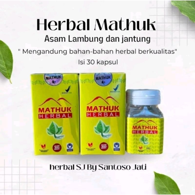 Herbal SJ Mathuk Asam Lambung & Jantung Kapusul Isi 30