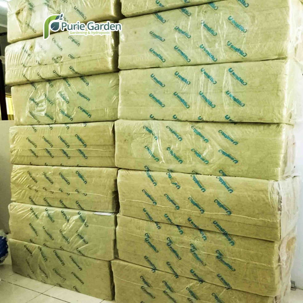 Rockwool Cultilene Media Semai Hidroponik 1 Slab PG SBY