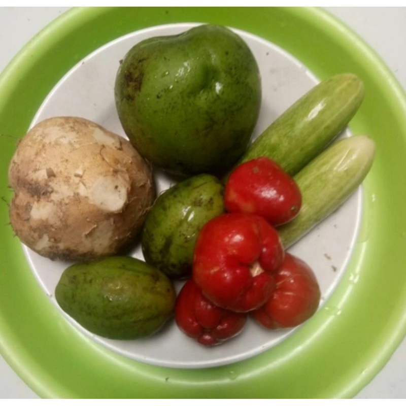 

Rujakan buah