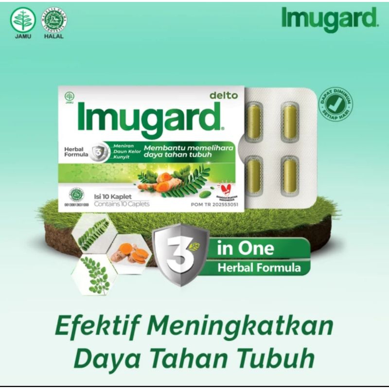 IMUGARD 1STRIP ISI 10pcs