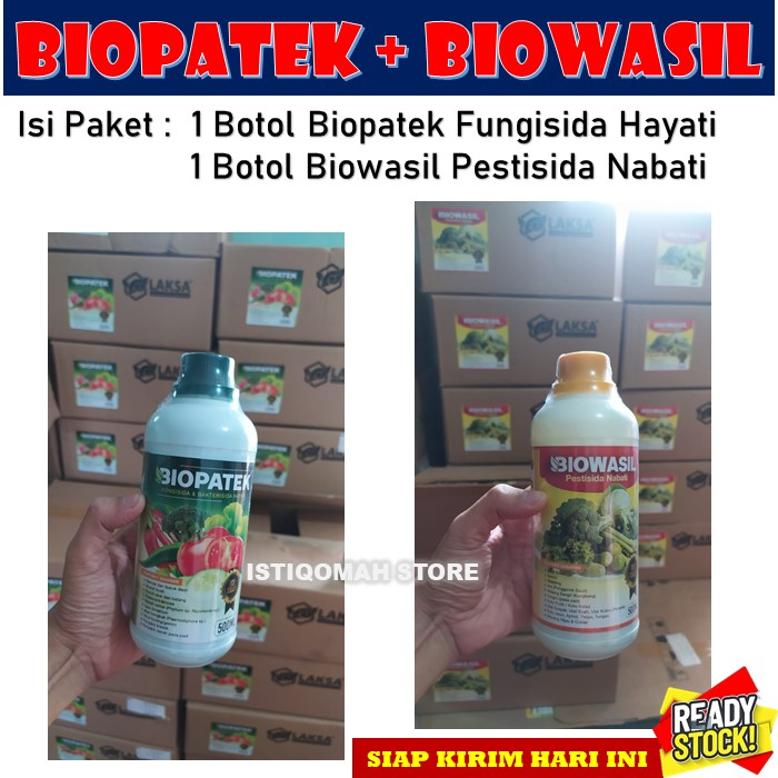 100% AMPUH Obat Semprot Berbagai Macam Hama dan Penyakit Pada Tanaman Kacang Tanah Paling Manjur BIOPATEK + BIOWASIL Fungisida dan Pestisida Alami, Obat Penyakit Hama Kacang Tanah Terbaik BAGUS MUJARAB LARIS MURAH