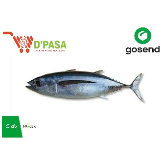 

KIRIM INSTAN Ikan Tuna Sisik Potong Segar 500gr Ikan segar