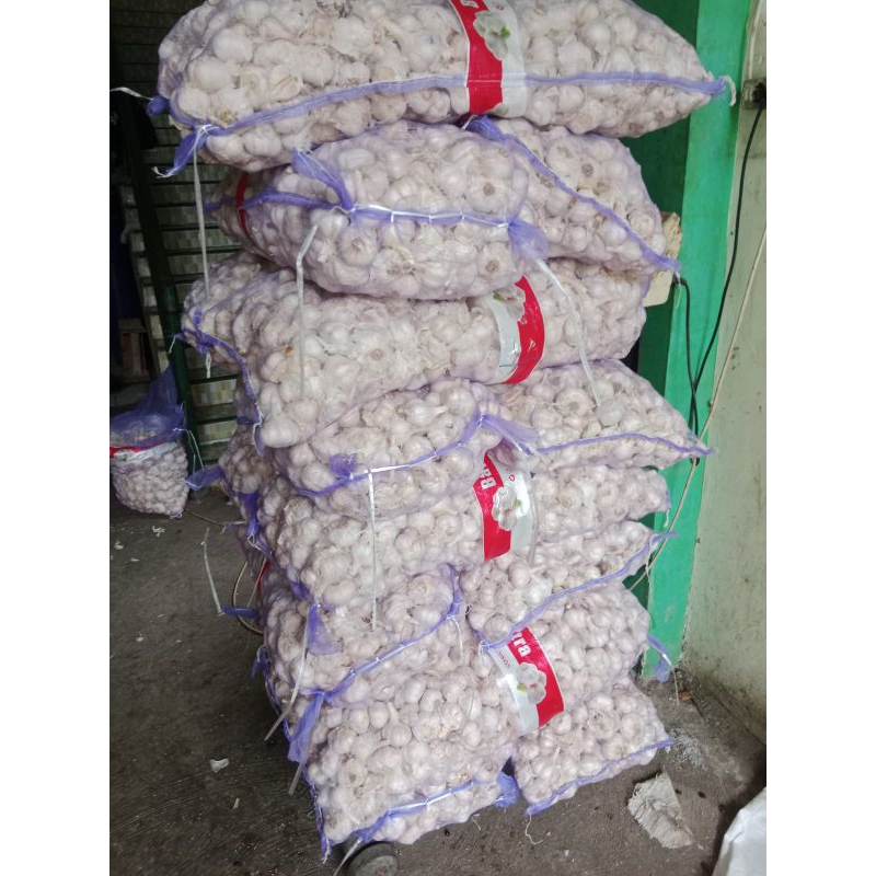 

bawang putih kating