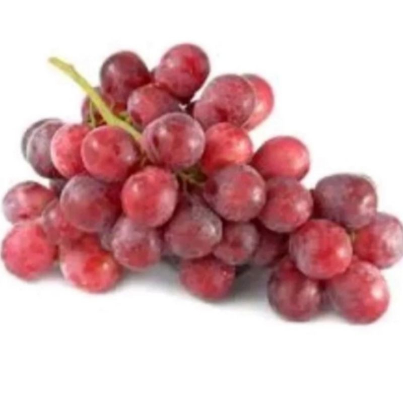 

Anggur fresh