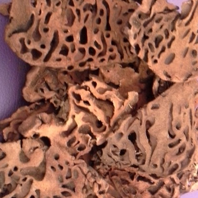 

HERBAL TERBAIK SARANG SEMUT KERING 500 GRAM