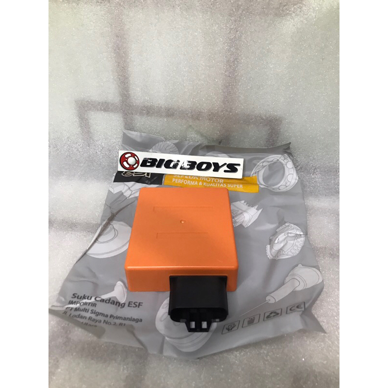 CDI VARIO CW CDI VARIO LAMA CDI VARIO KARBU 110