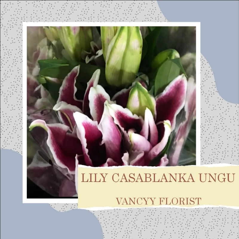 Bunga Lily Casablanka Ungu Fresh Pertangkai / Bunga Lily Casablanka Vancyy Florist / Bunga Lily Casa