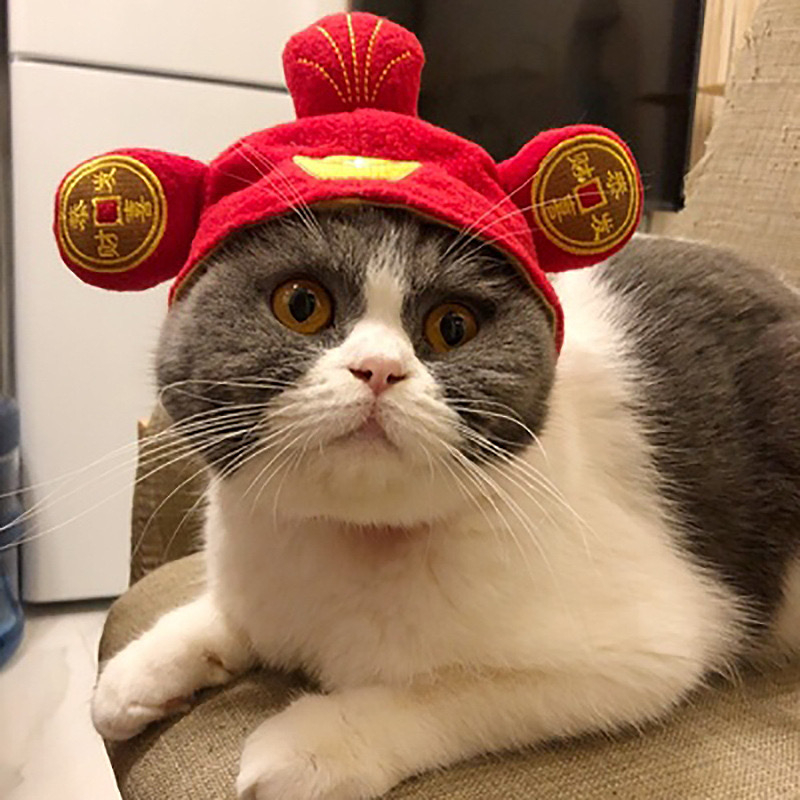 KOSTUM CHINESE HAT - Kostum Topi Hewan Kucing Anjing Lucu Unik Desain Chinese