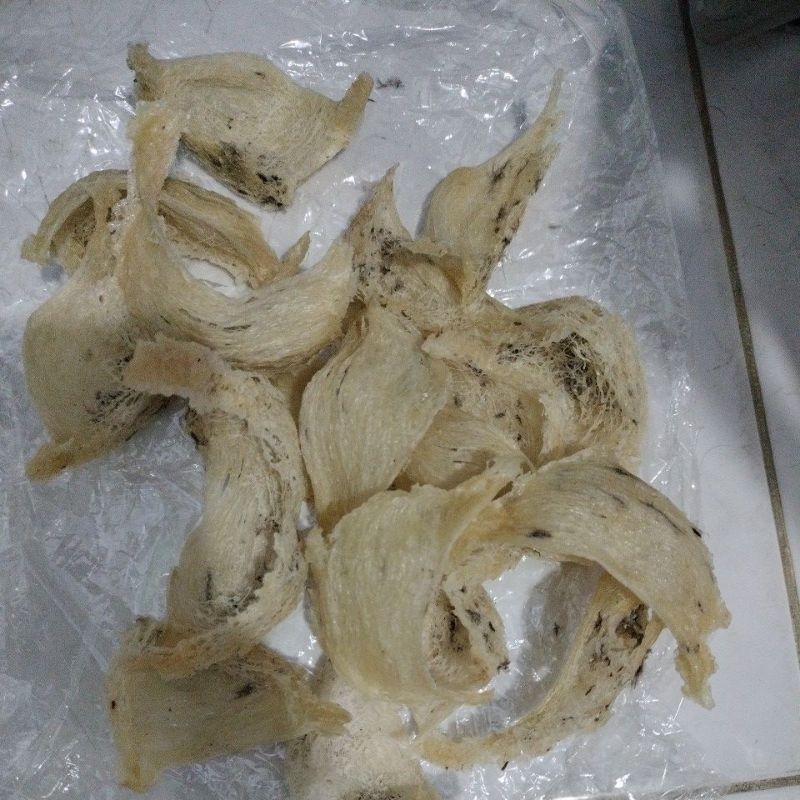 sarang burung walet kalimantan sudut 10 gr