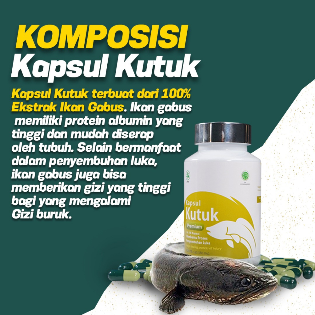 Kapsul Kutuk - Multivitamin 5x Luka Lebih Cepat Kering Sari Albumin Pasca Operasi Caesar Sesar Hernia Luka Diabetes Diabet Terapi Gagal Ginjal Gastritis TBC Infeksi Paru Isi 60 Kapsul