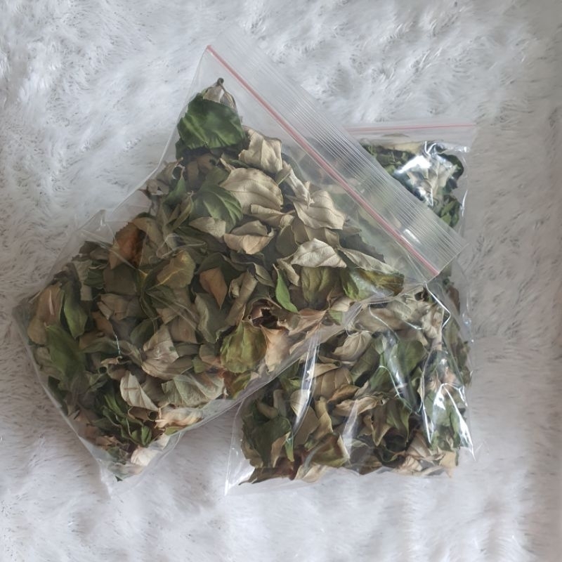 

Daun bidara Arab Kering Murni 100%