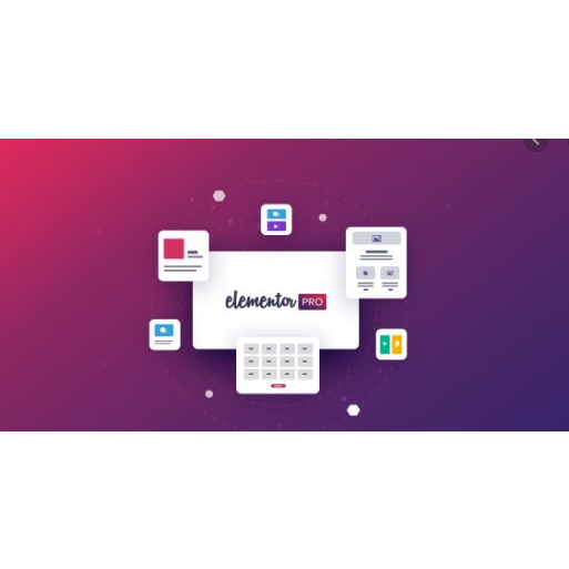 Elementor Pro 1 Tahun