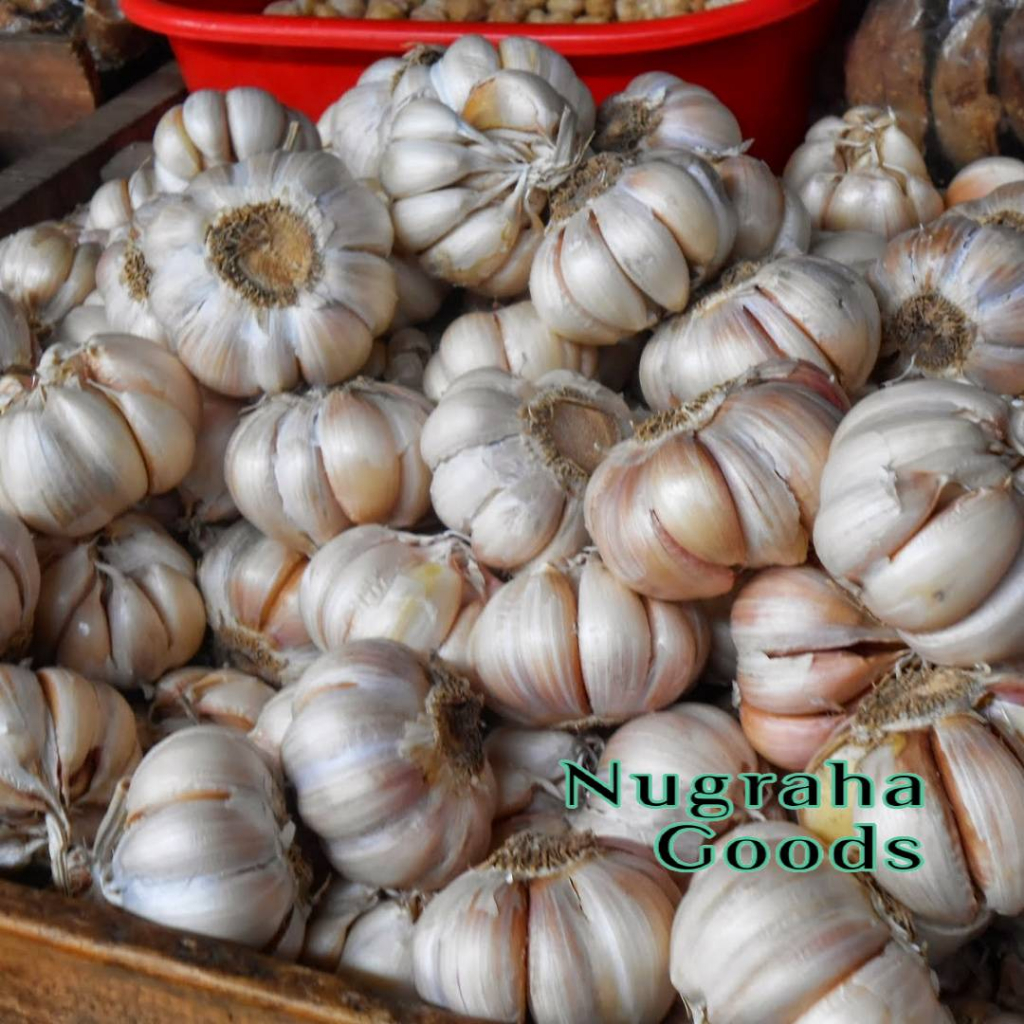 

Bawang putih kotor 1 kg harga grosir