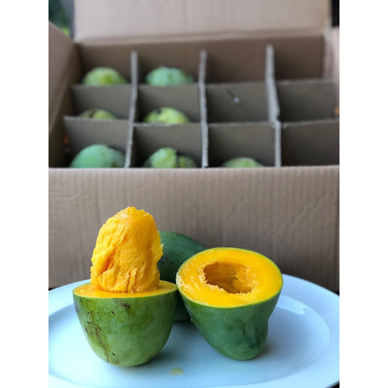 

Mangga Harum Manis