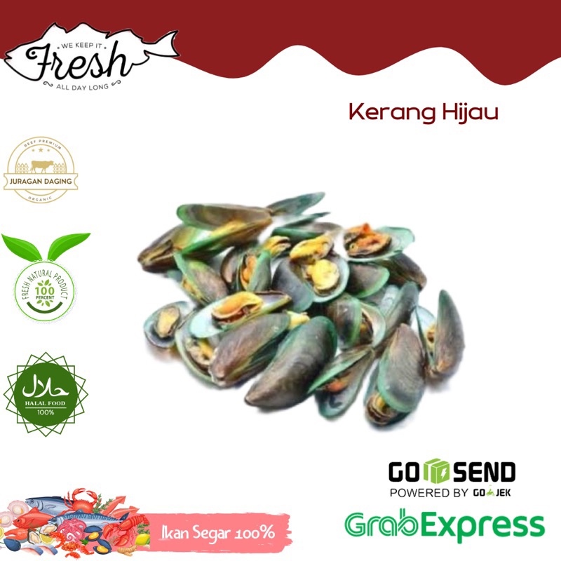 

KERANG HIJAU FRESH 1kg