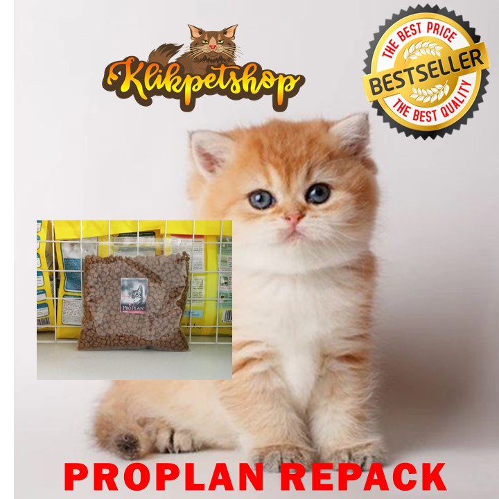 Makanan Kucing Kering Proplan Adult Salmon Repack 400 gram Cat Food