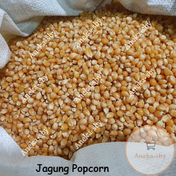 Jagung Popcorn 1 karung 25kg