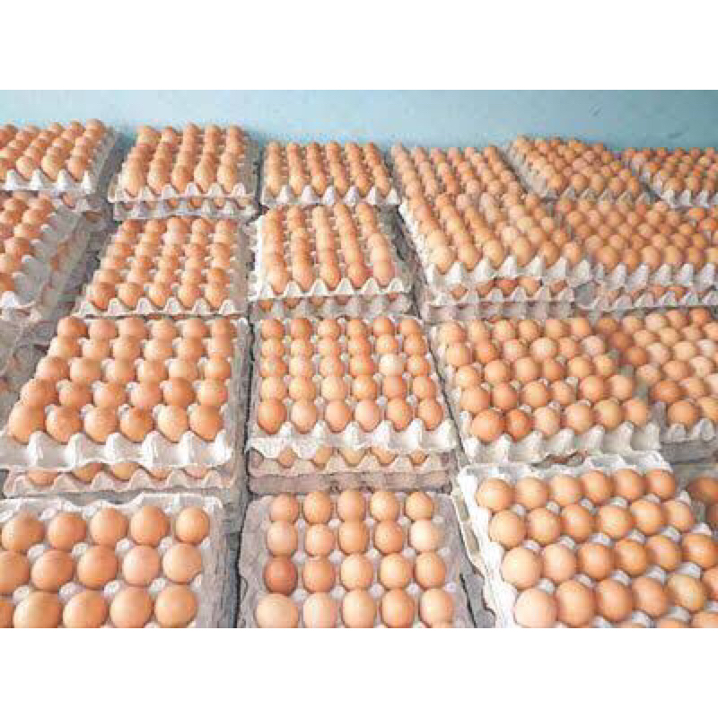 

Telur ayam negri= 29500/kg