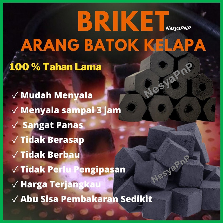 10 Kg Arang Briket Areng Batok Kelapa Kubus Hexagonal