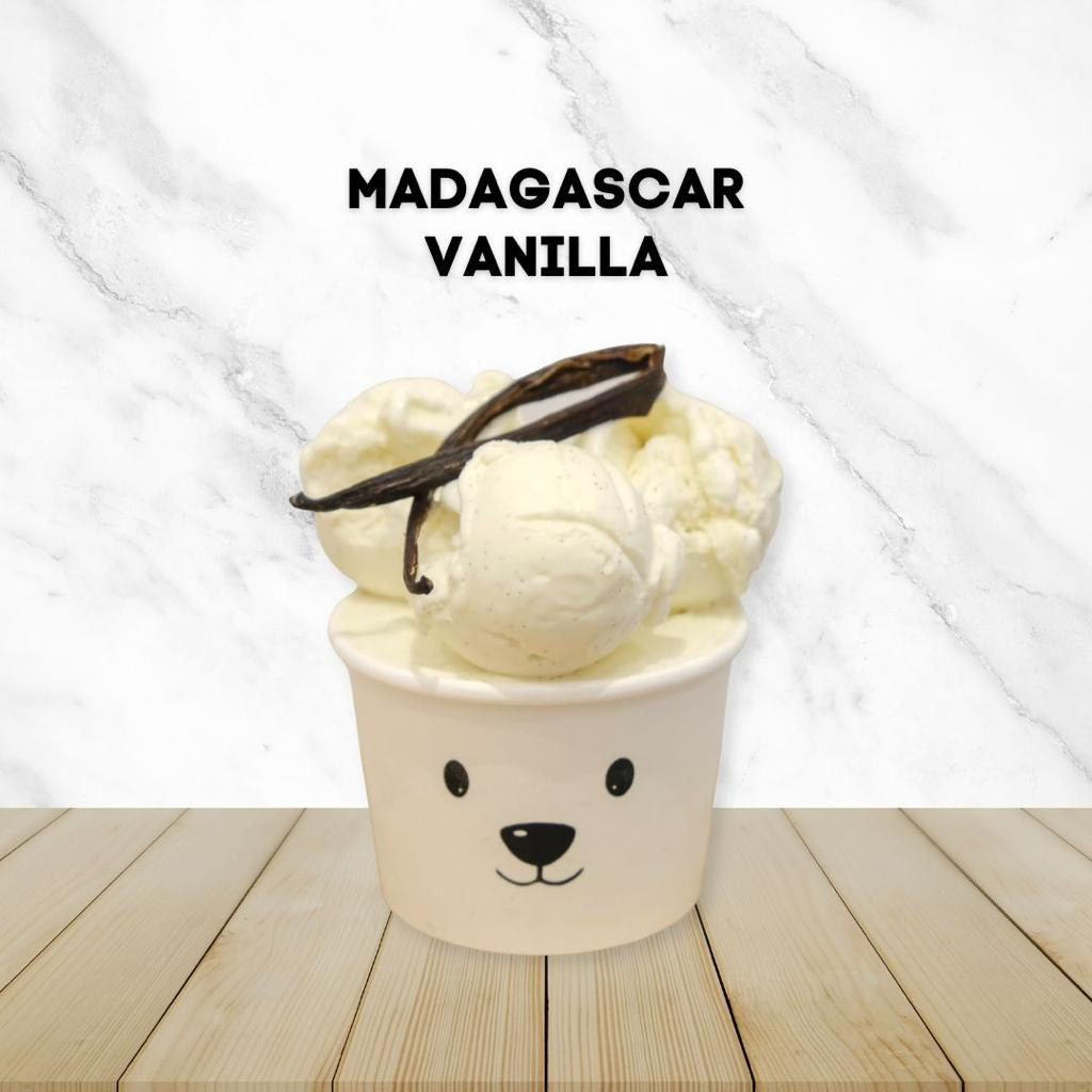 

Polar Brrr Gelato - French Vanilla Gelato