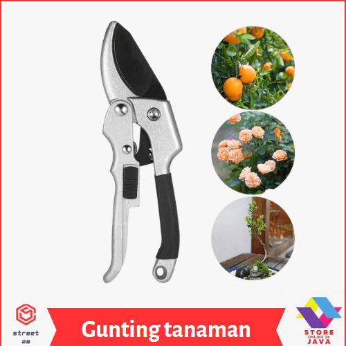 Gunting Dahan? Ranting Alat Pangkas Ranting Pohon Dahan Ranting Tumbuhan Bunga Garden Pruning Stek /