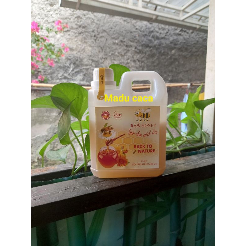 

Madu asli multiflora 1kg /madu caca murni multiflora