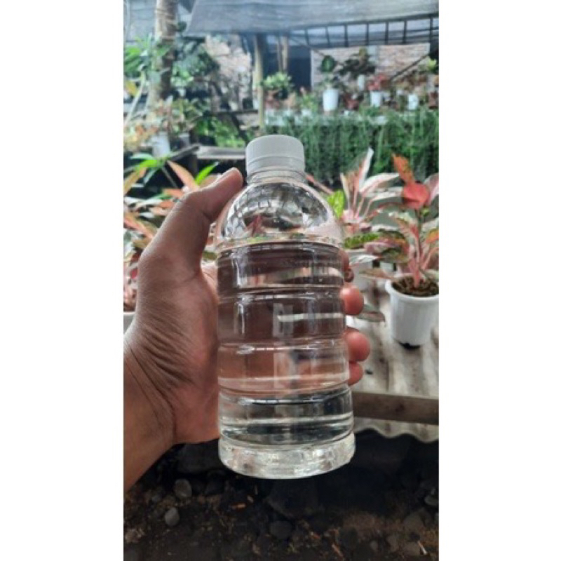 Nutrisi tanaman hias biozone 500.ml