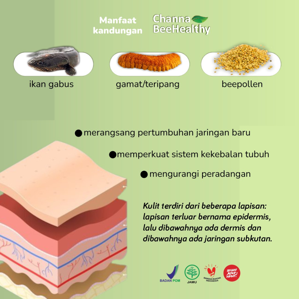 Kapsul Channa BeeHealthy Isi 60 - Ekstrak Ikan Kutuk Premium Lebih Cepat Kering Luka Pasca Operasi - Herbal Original