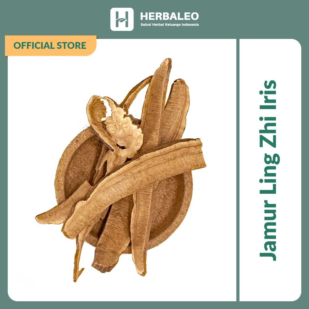

Herbaleo Jamur Ling Zhi Iris 5g Ling Ce Ganoderma Mushrooms Membantu Meningkatkan Stamina
