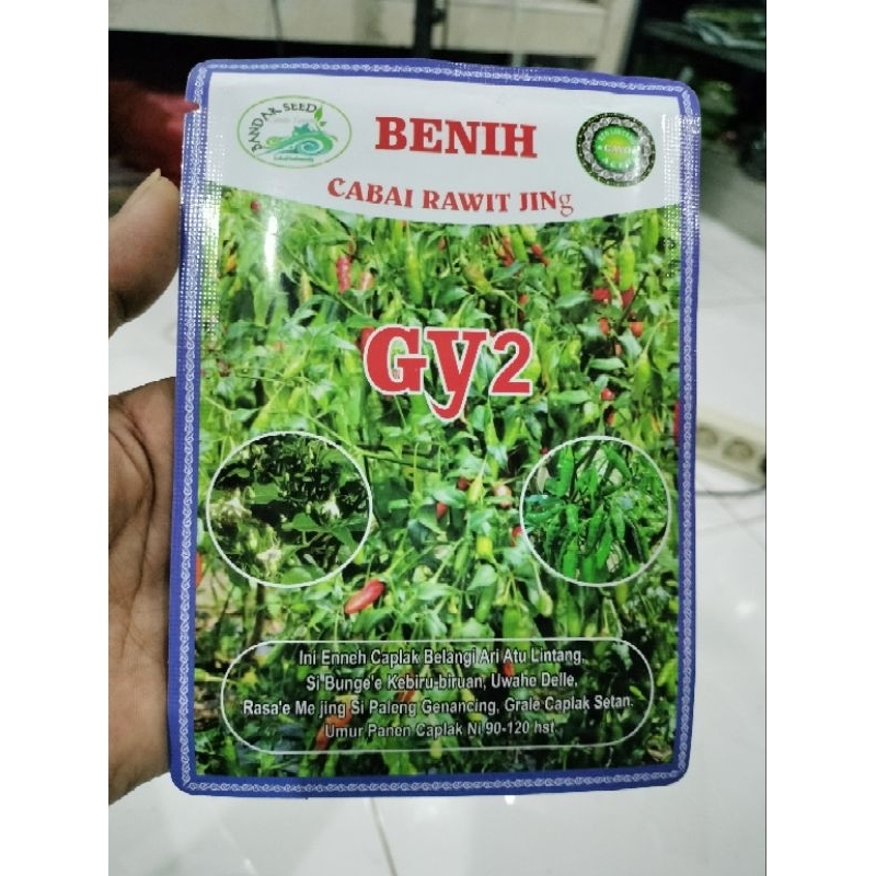 Cabe GY2 10gr Lokal Aceh Buah Lebat Original Cabe Rawit Hijau Gayo 2 Aceh