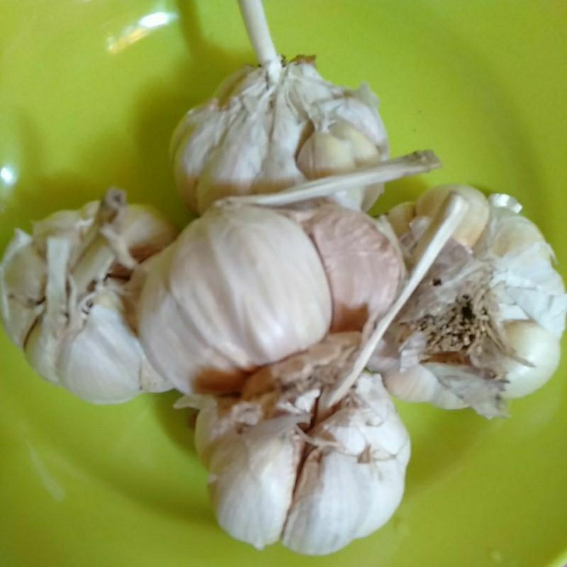 

Bawang putih