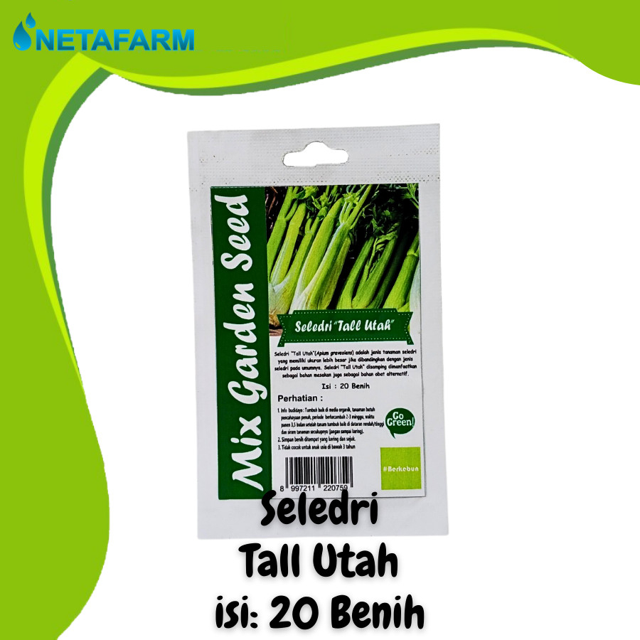 Benih Biji Bibit Seledri &quot;Tall Utah&quot; Mix Garden Seed - 20 Benih