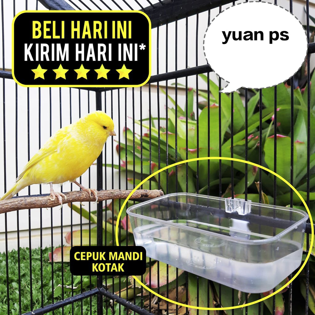 Cepuk Mandi Burung Kotak Wadah Mika Plastik Bening Tebal