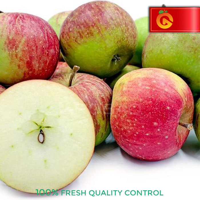 

BUAH APEL MALANG ROME BEAUTY FRESH 1 KG