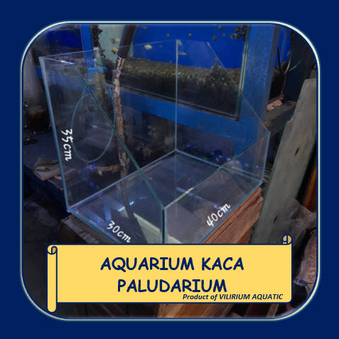 AQUARIUM KACA PALUDARIUM / TANK PALUDARIUM (BISA CUSTOM UKURAN)