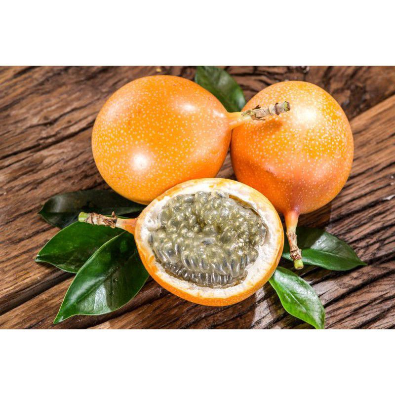 4 Benih Biji Markisa Manis