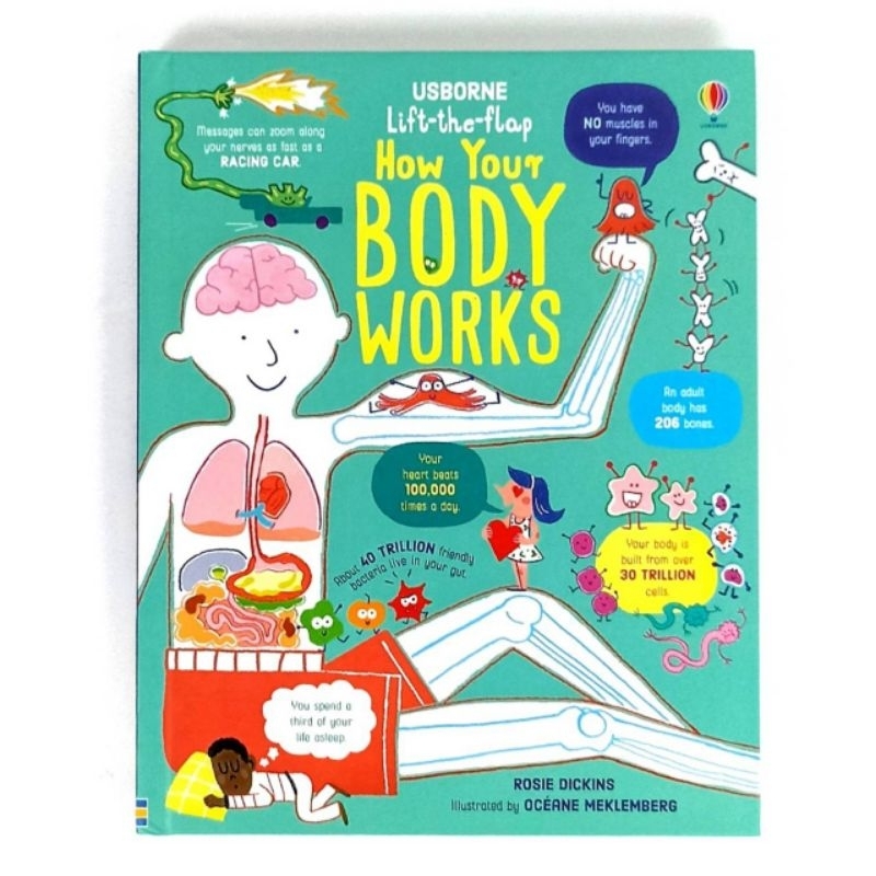 Usborne Lift the flaps How Your Body Works