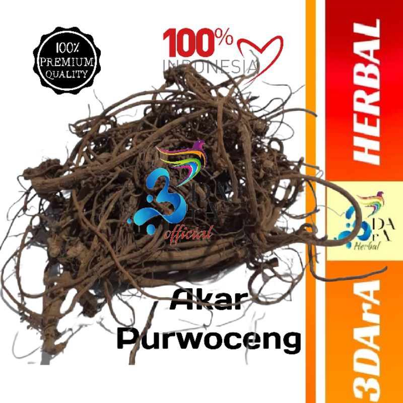 Akar Purwoceng Kering - Akar Purwaceng Premium