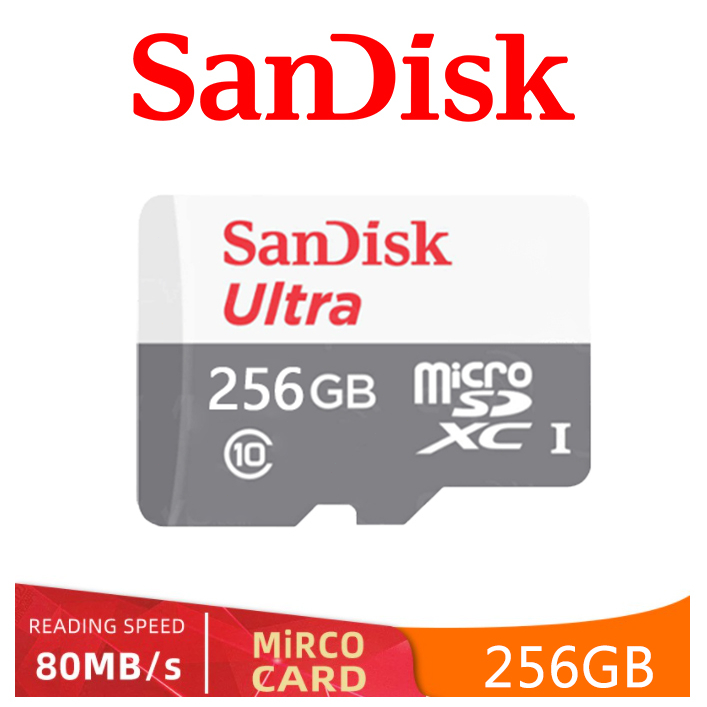 Memori card 256GB CLASS 10 80Mbps Micro sd Memory Cards (COD)