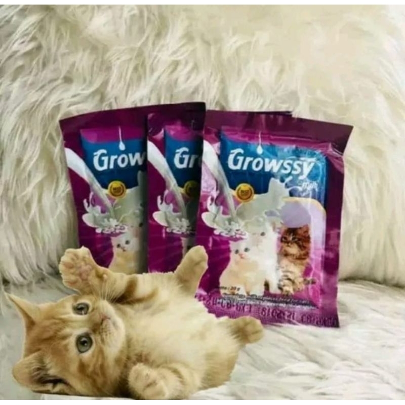 GROWSSY KUCING 1 SACHET - Susu Anak Kucing Kitten Cat Milk 20gr 20 gr 20gram