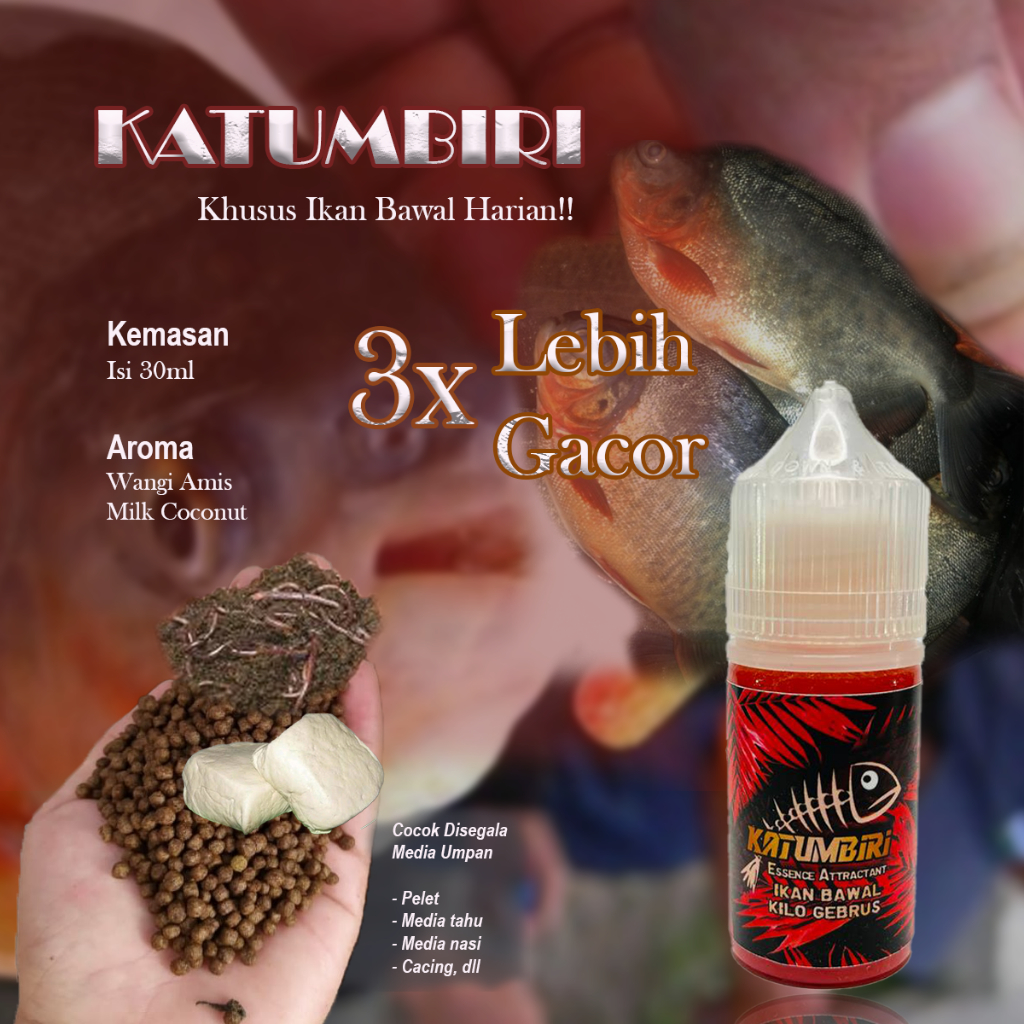 Essen katumbiri ikan bawal harian paling ampuh / Essen bawal harian paling gacor / Essen bawal media