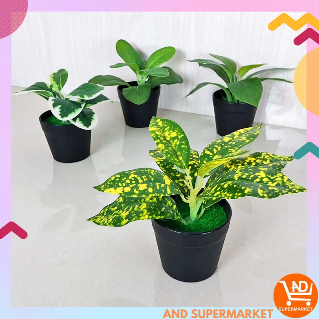 Pot Tanaman Hias Mini Plastik Dekorasi Rumah Tanaman Bunga Hias Import Murah Articial Flower PBP56