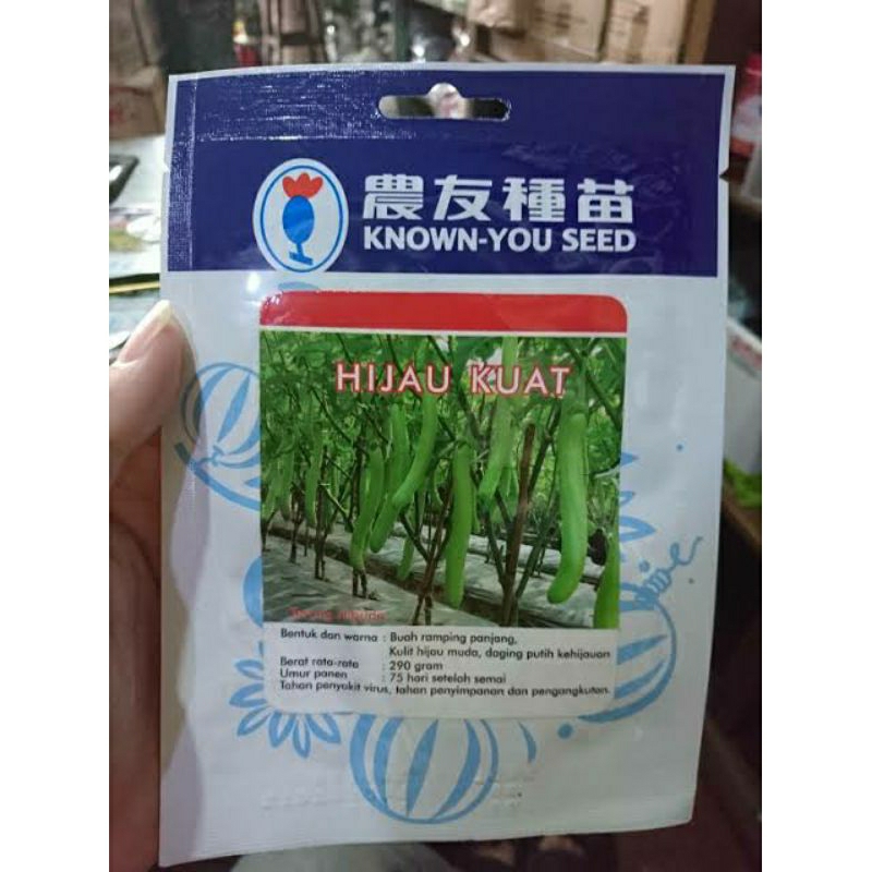 Benih Terong HIJAU KUAT - Bibit Terong Hibridal HIJAU KUAT Isi 1.100 butir