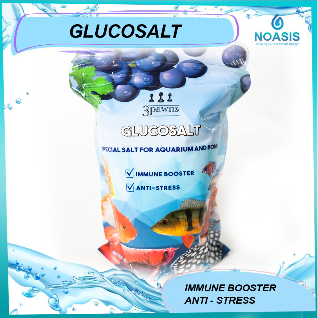 MAYIN GLUCOSALT 3 Pawns 500 gr Garam Ikan Immune Booster Anti Stres