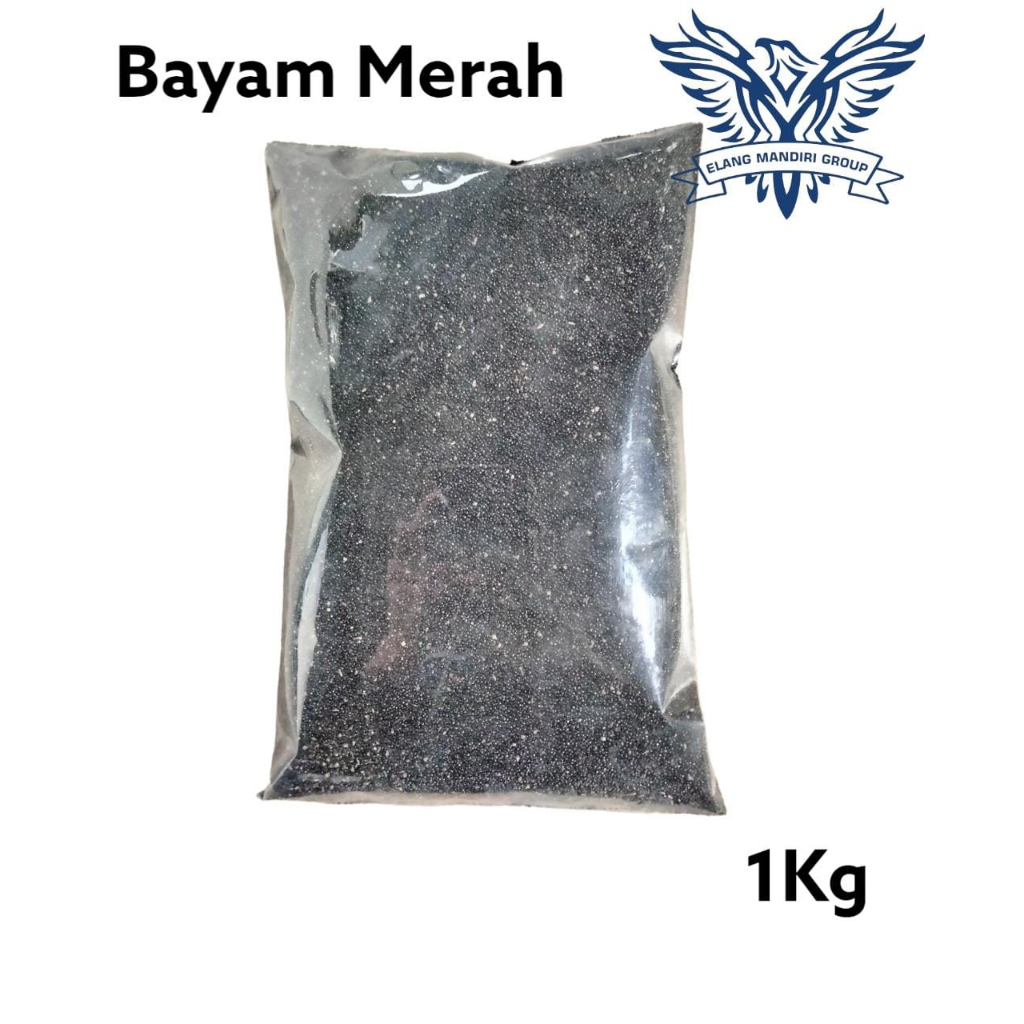 REPACK Benih BAYAM MERAH 1Kg Bibit Sayuran Berkualitas Unggul