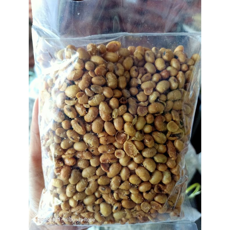 

kacang kedelai
