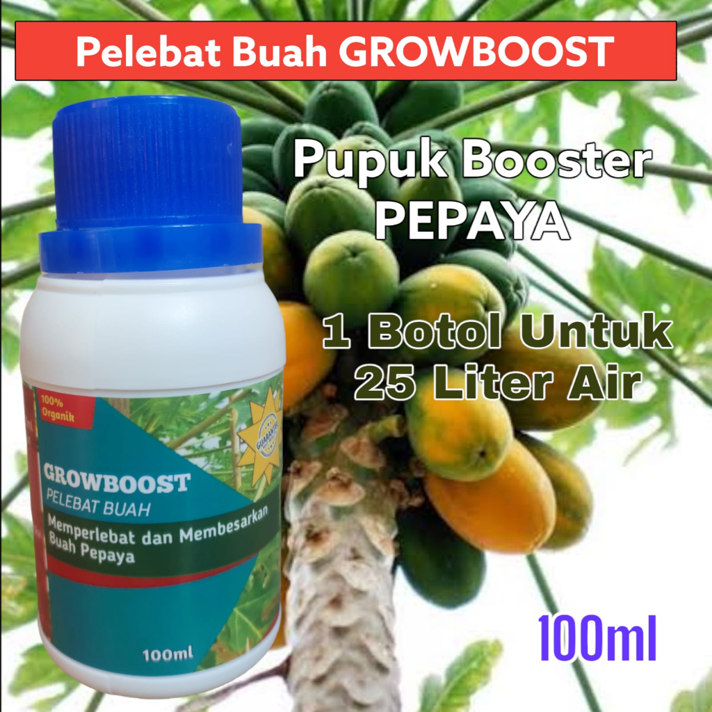 Pupuk Buah Pepaya Premium Organik GrowBoost Buah Pepaya 100ml